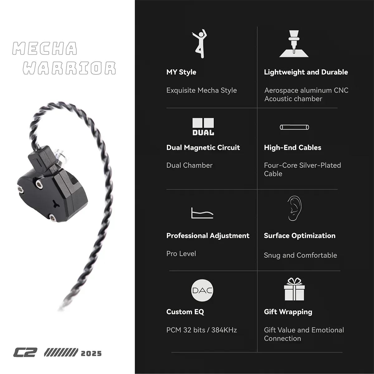 TINHIFI C2 2025 Type-C IEM HiFi In-Ear Wired Earphone 10MM PU+LCP Driver Monitor Detachable 2Pin HD Mic 3.5mm/Type-C Cable