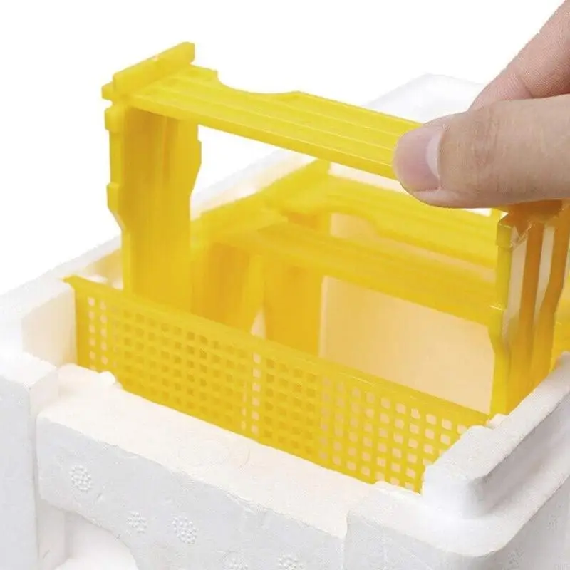 Queen Bees Mating Box Foam Breeding Rearing Copulation Accessories Beekeeping KXRE