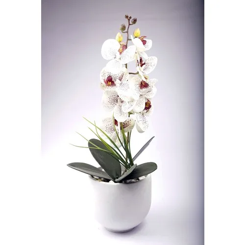 Mini Gift Orchid Flower Concrete Plant Pot Dry Orchid Vase Artificial Orchid