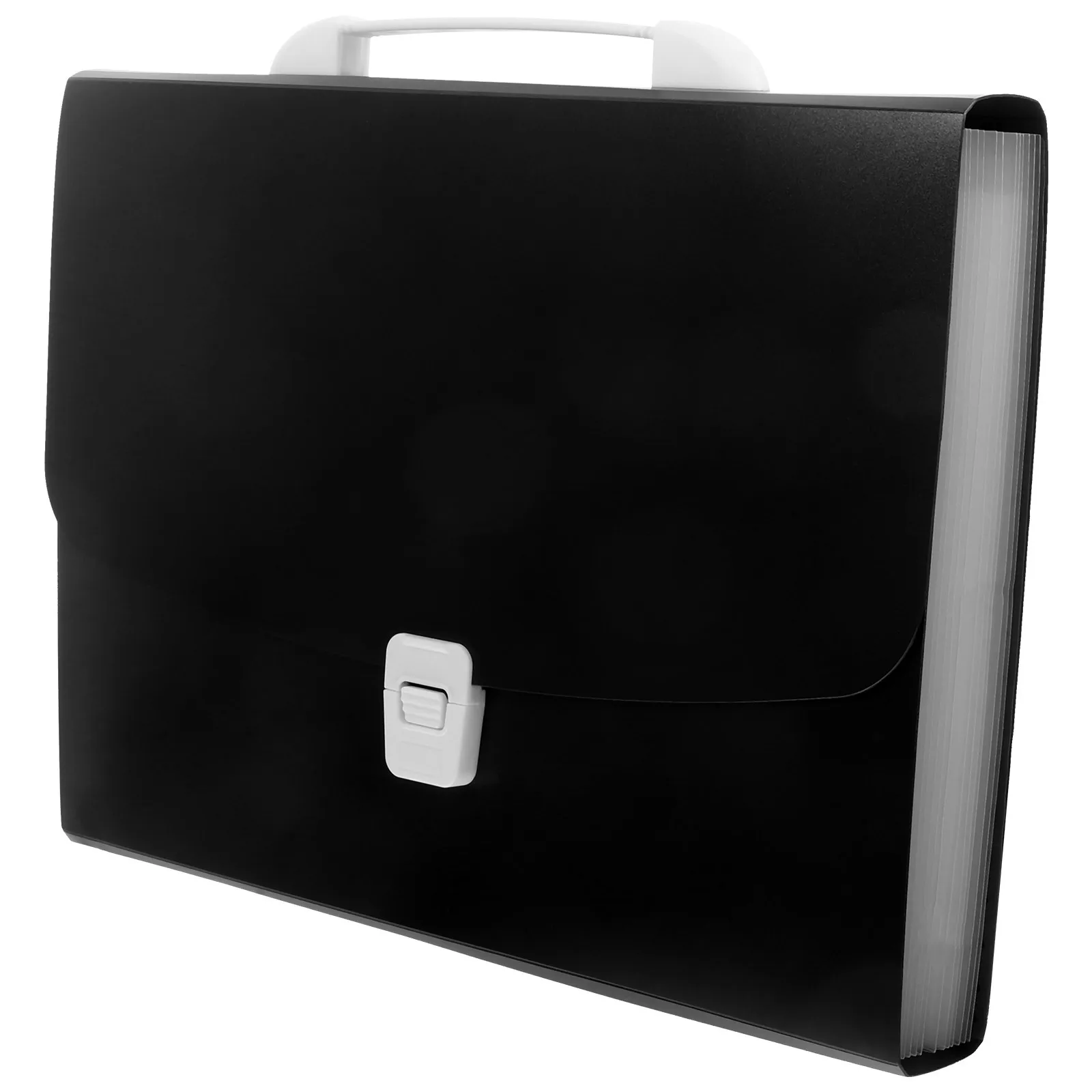 Cartella portadocumenti di grande capacità Organizzatore di file a fisarmonica multistrato Cartella portadocumenti portatile leggera per ufficio scuola