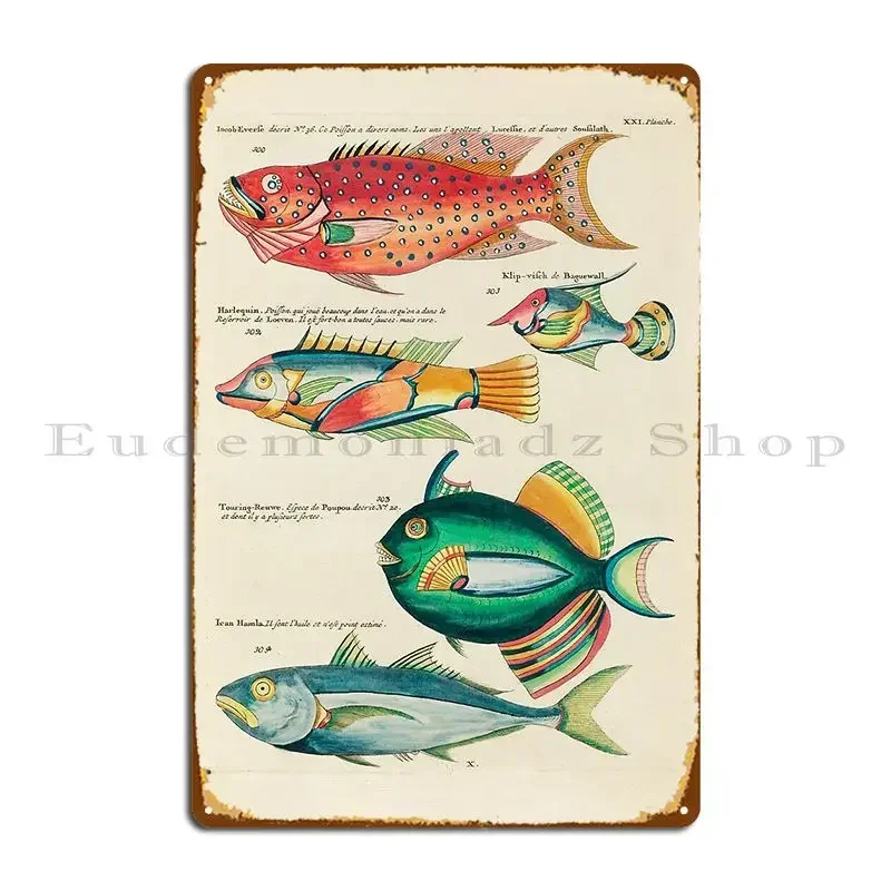Antique 19th Century Fish Illustration Metal Plaque Poster Pub Create Wall Cave Funny Personalized Tin Sign Poster