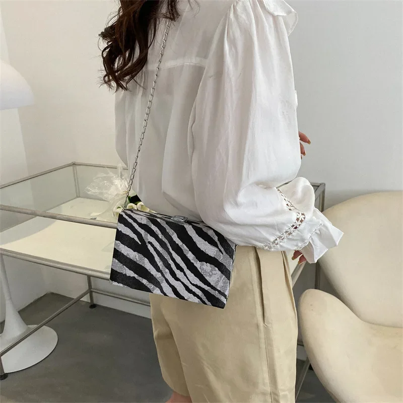 حقيبة صندوق أكريليك مخططة للنساء، حقيبة كروس متعددة الاستخدامات، عصرية وعصرية #2