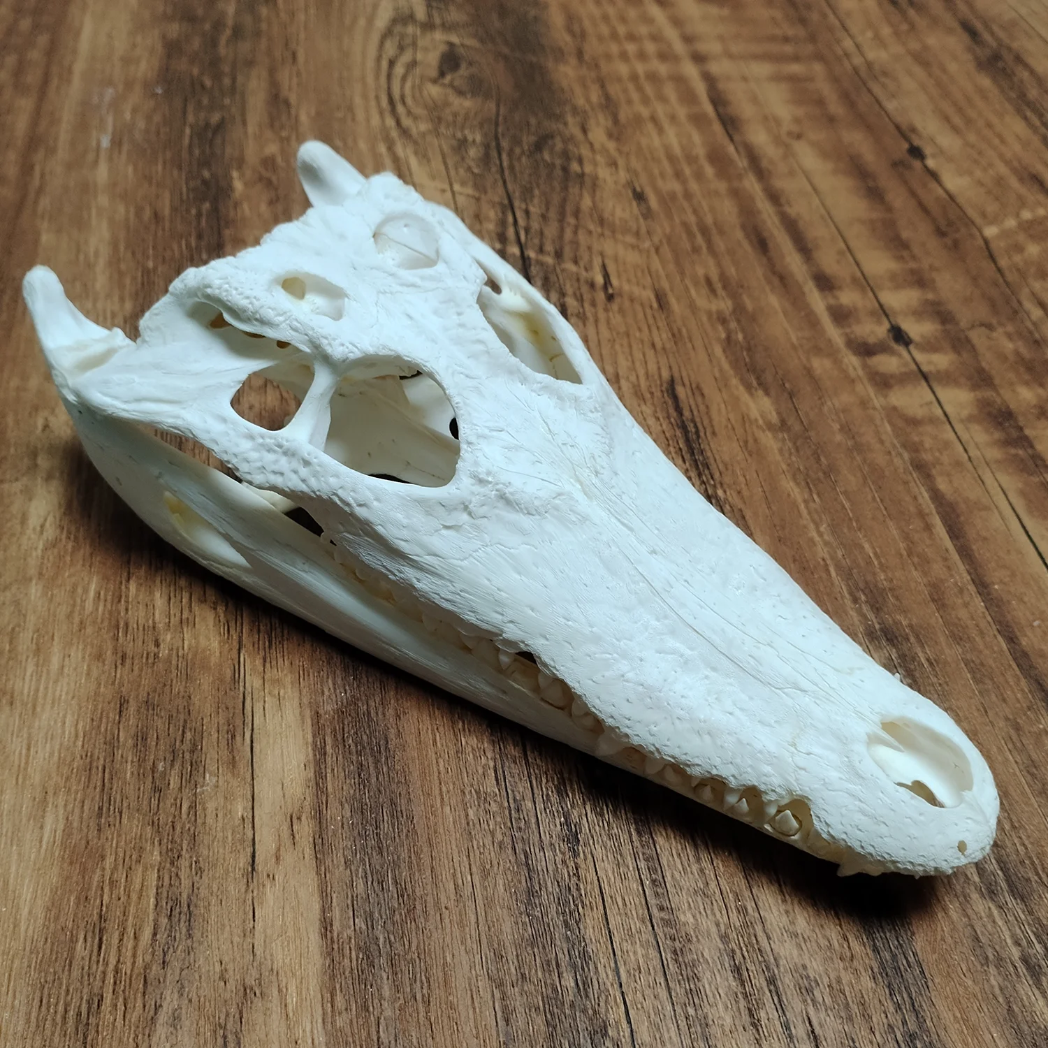 Realistic Crocodile Skull Figurine Handmade Crafts Unique Collectors Home Decor Handicrafts Ideal Gift for Nature Lovers