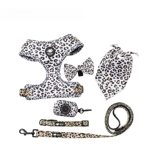 Laisse et collier de Noël SFP pour chien, faible MOQ, ensemble SFP, couverture imprimée assortie, fournitures pour animaux de compagnie, accessoires pour chiens