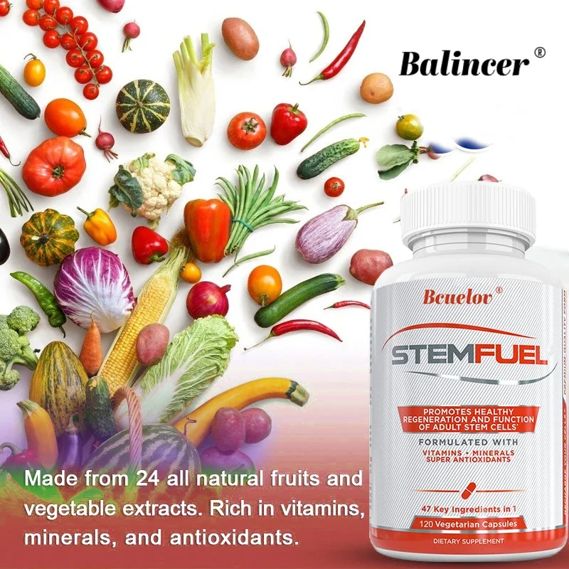 STEMFUEL Supplements - Support Cell, Brain and Immune System Health and Promote Healthy Energy, Focus and Cognitive Function