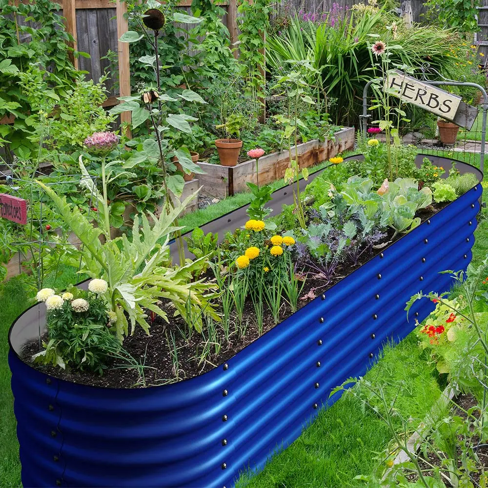 Galvanized Raised Garden Beds, 12-in-1 Metal Outdoor Plant Boxes for Vegetables, Cobalt Blue 17