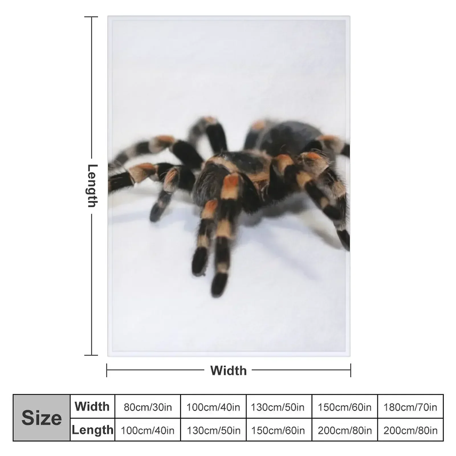 Tarantula Throw Blanket Flannels Blankets For Sofas Thin Blankets