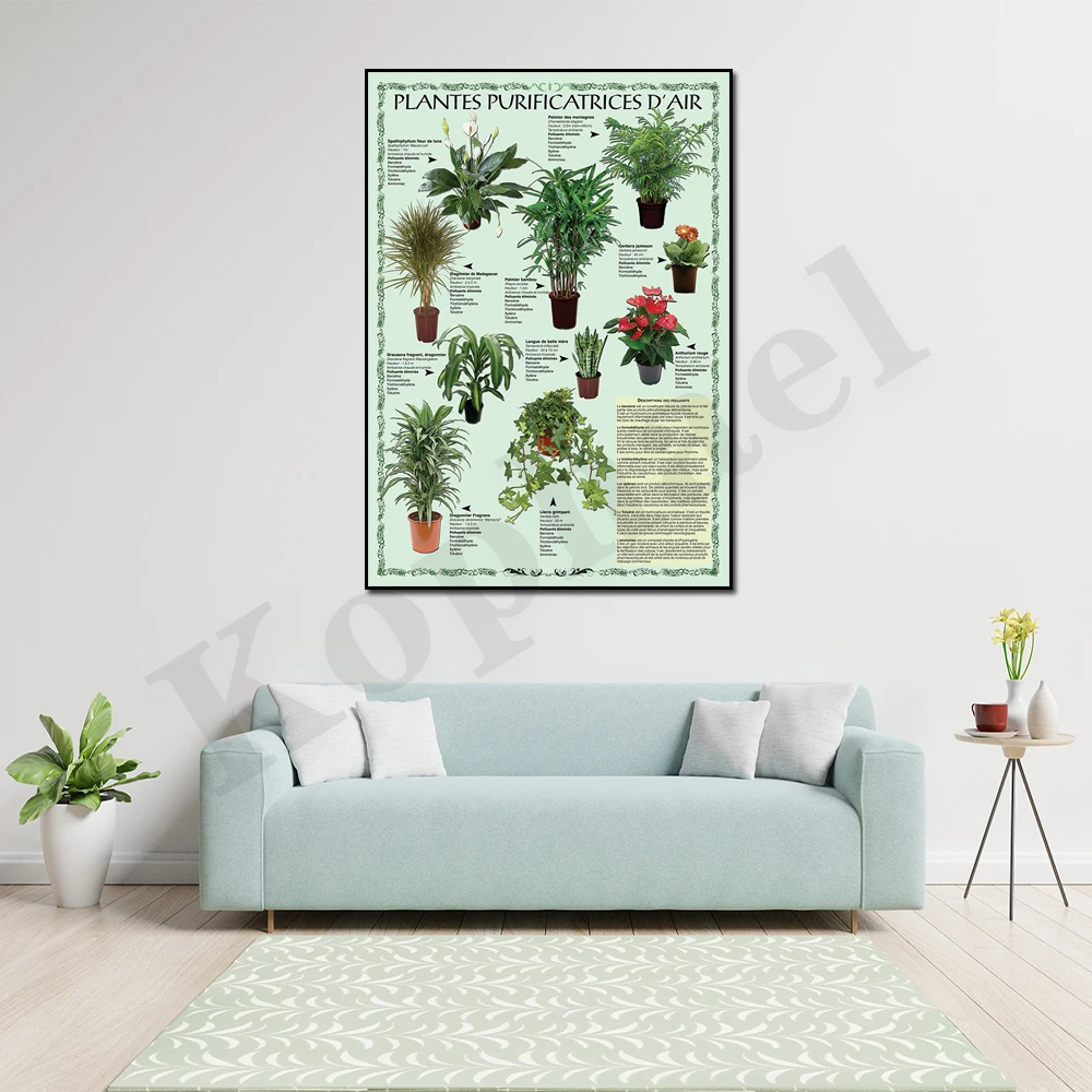 Air Purifying Plants Home Wall Decor Art Poster