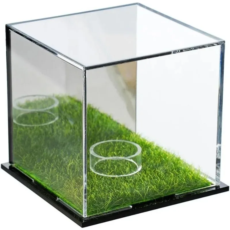 

Acrylic Golf Ball Display Case Square Clear Storage Box with Mirror Back Golf Memorabilia Holder 1pcs