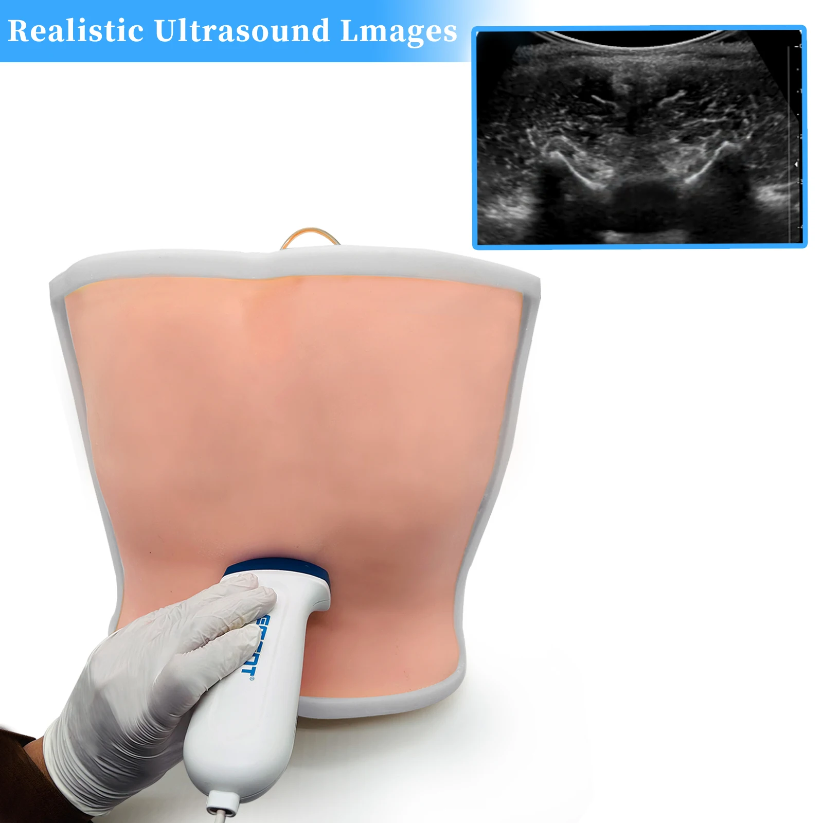 Ultrasound guided lumbar puncture model, spinal canal puncture, epidural anesthesia puncture training and teaching