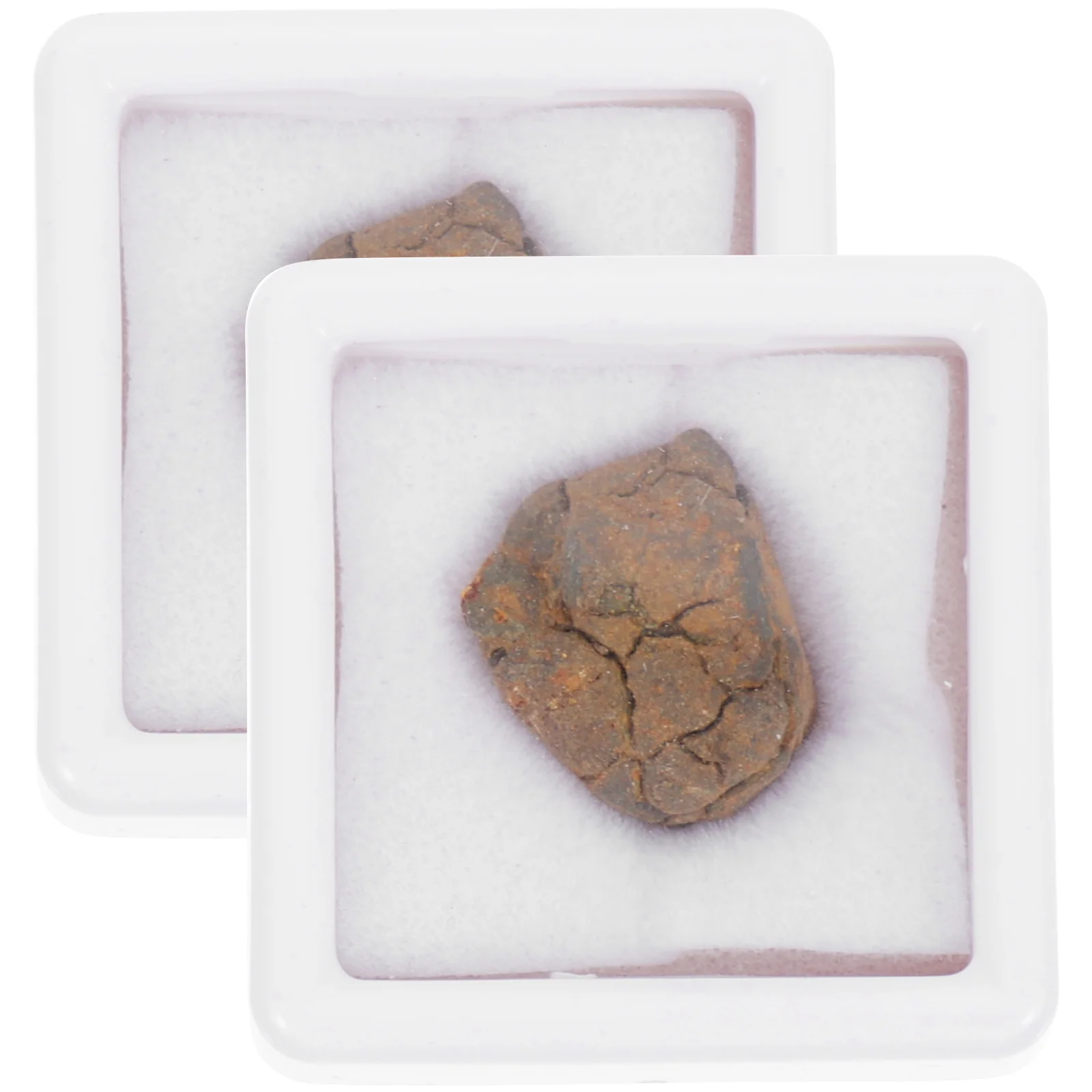 2 Pcs Olive Meteorite Lithosiderite Specimen Decoration Sample Teaching Model Table Adornment