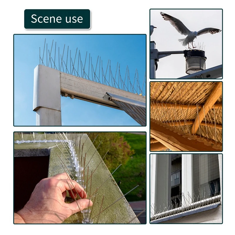 Bird Spikes For Pigeons Small Birds: Durable Anti-Bird Nest Fence Spike For Deterring Birds, Crows, Smooth Easy Install 10Pcs