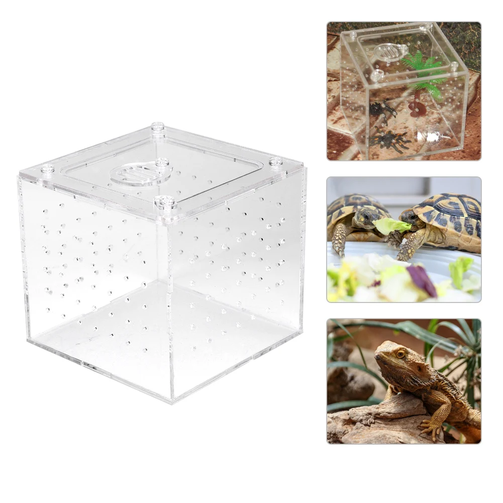 Breeding Box Reptile Acrylic Box Reptile Terrarium Feeder Snakes Spider Lizard Breeding Acrylic Box Case Insects House