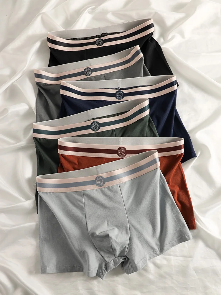 

6-Piece Men's Cotton Boxer Briefs Set - Striped Logo Waistband Multi-Color Underwear