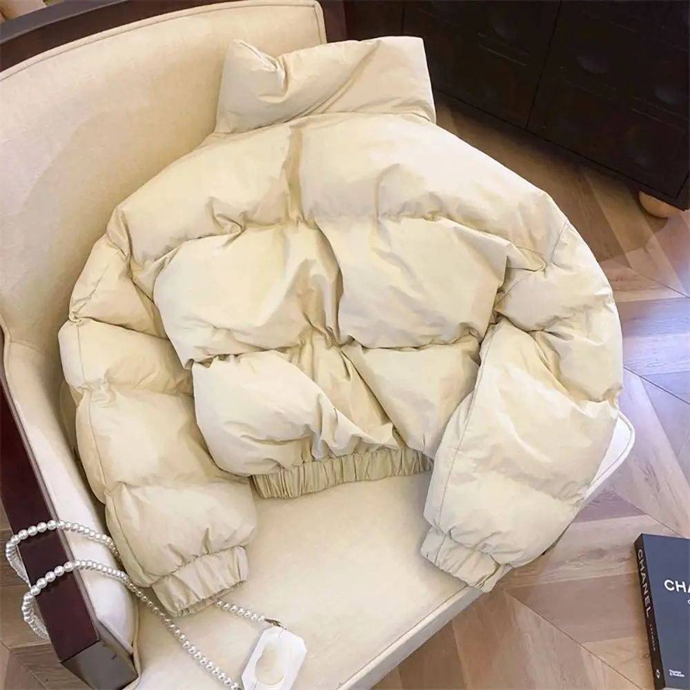 المرأة سميكة القطن معطف مبطّن عادية قصيرة الأرجواني سترة منفوخة الوقوف طوق دافئ مبطن ملابس خارجية لشتاء 2025 جديد ﻿