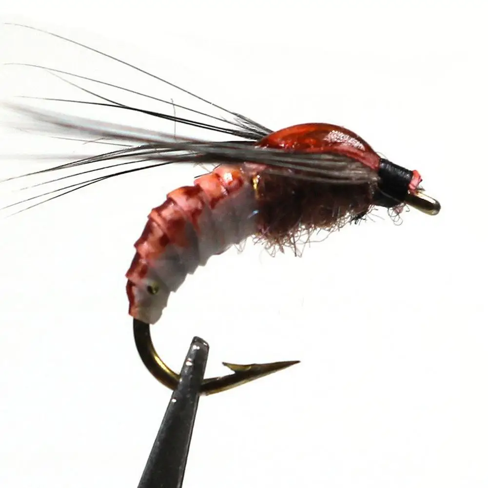 6 قطعة/صندوق واقعية سكود يطير لصيد سمك السلمون المرقط الاصطناعي الحشرات الطعم إغراء سكود دودة الصيد إغراء لصيد الأسماك اكسسوارات