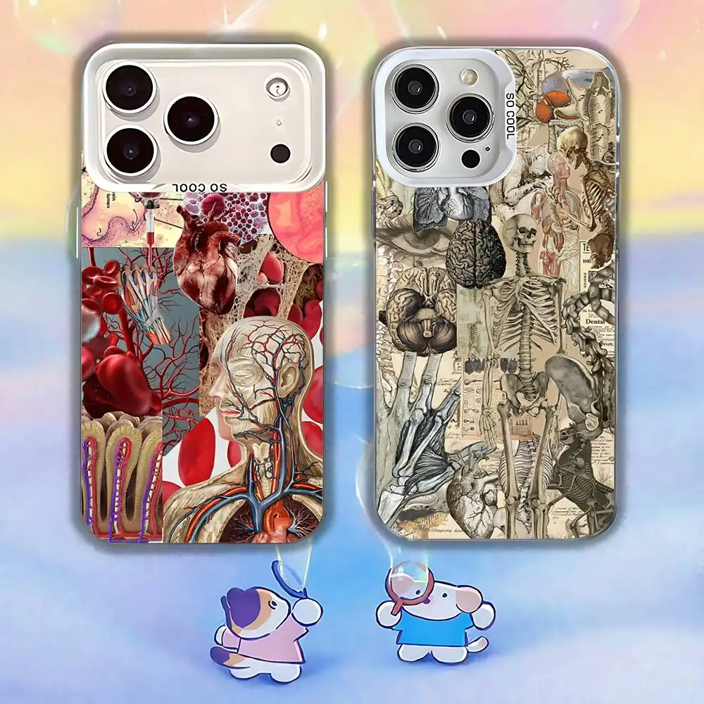 

Medical Human A-Anatomy Phone Case For iPhone 17,16,13,12,X,11,15,14,Pro,Max,Plus,SE4,Air,Mini White IMD HD Matte