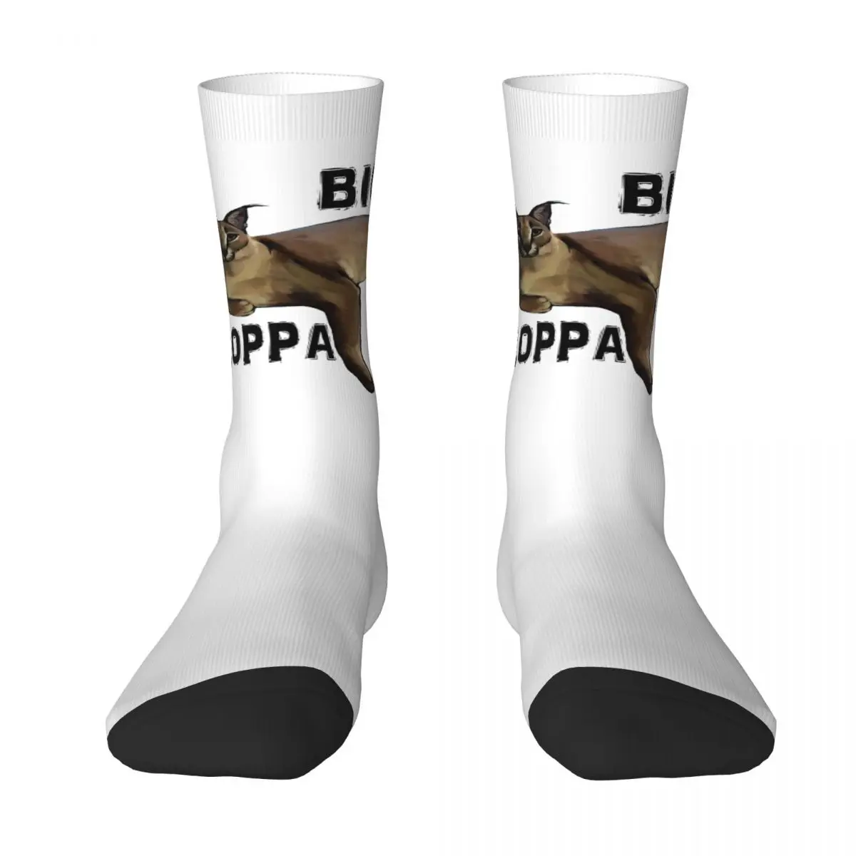 Big Floppa Animal Cats Socks Autumn Stockings Funny Men High Quality Socks Design Outdoor Sports Non Slip Socks