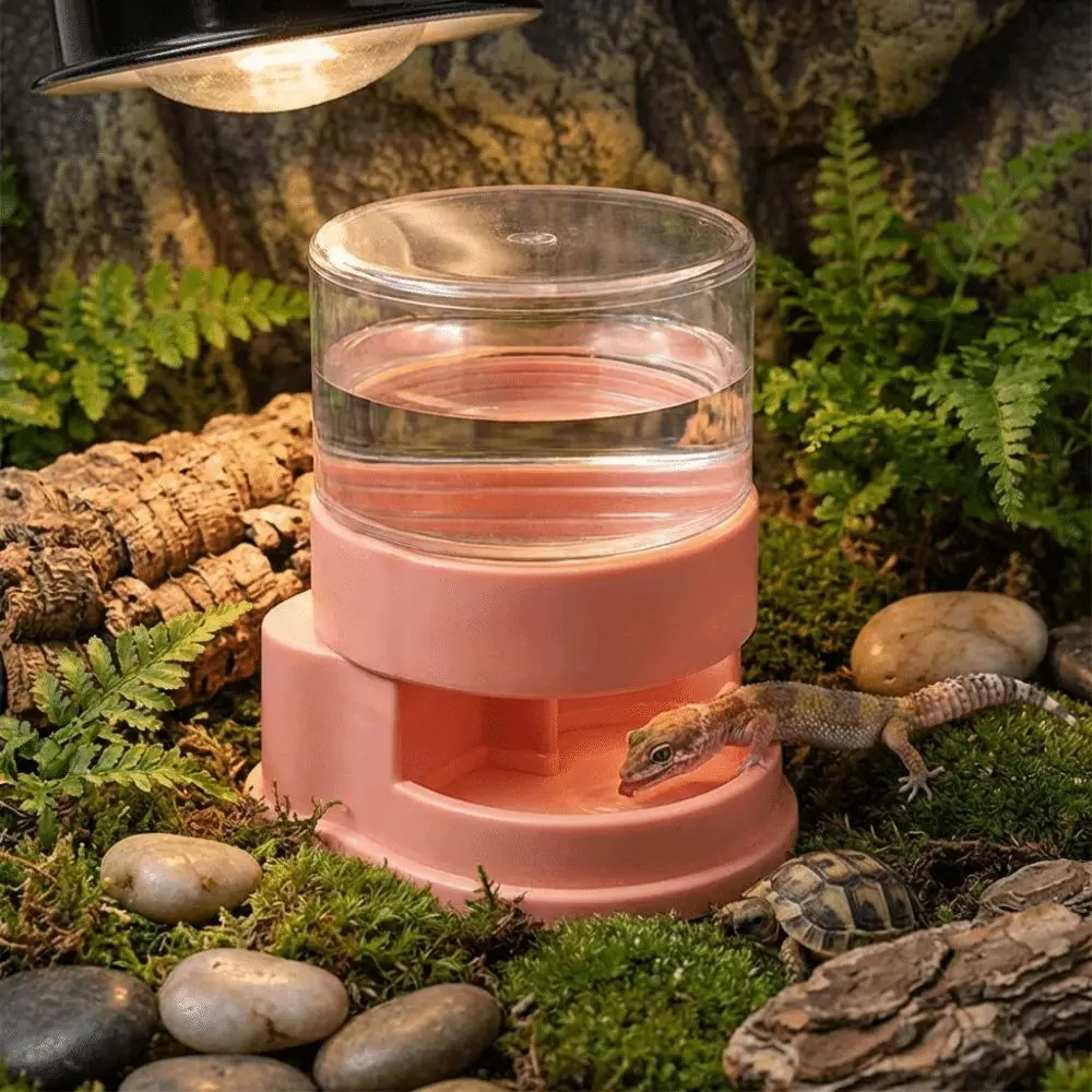 #42 Reptile Water Bowls Comparison Guide