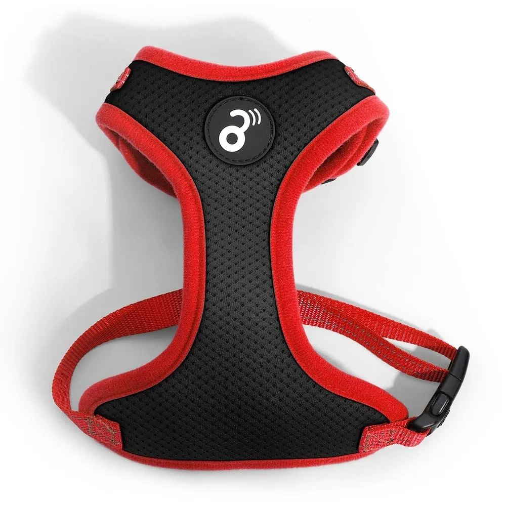 Red and Black Tam Flow Mesh chest. P Mimo - PP318