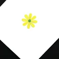 Amarillo