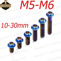 FLAWLESSTI M5x10-20 M6x10-30 Front Brake Disc Bolt Gr5 Titanium Bolts For Honda X-ADV 750