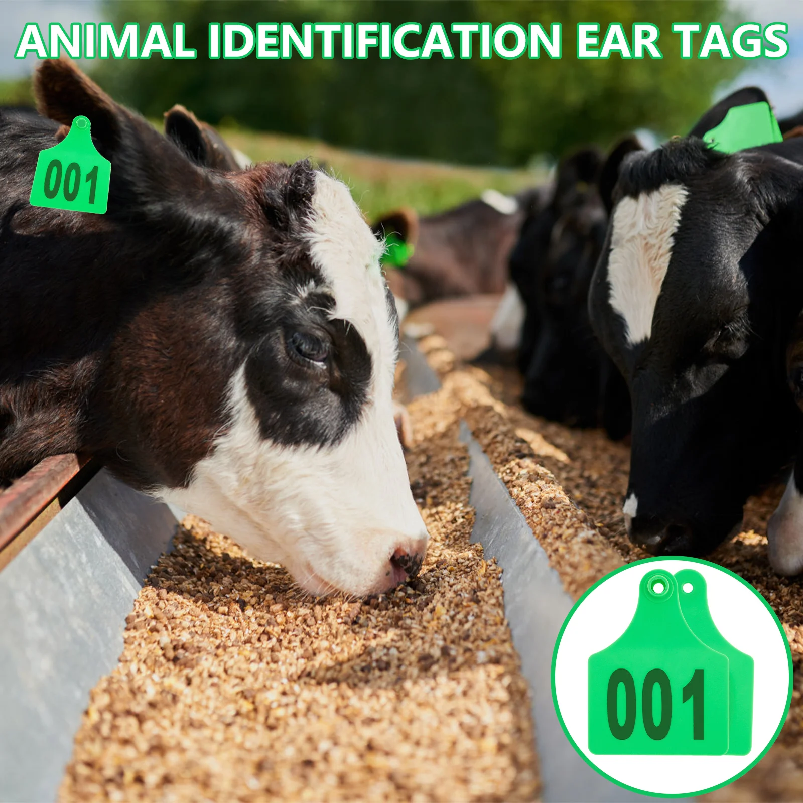 100Pcs Livestock Ear Tags Pliers Sheep Pig Cattle No.001-100 Farm Animal Identification Card Laser Typing Copper Head Earrings