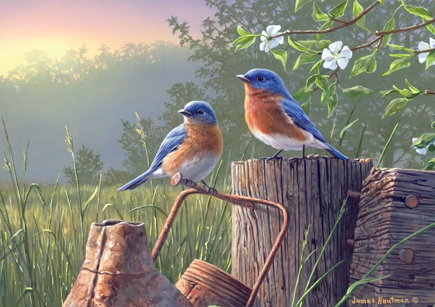 

Bird Jigsaw Puzzle 300/500/1000 Pieces Adult Natural Landscape Wooden Puzzle for Exercise Brain Thinking Family Gam Gifts