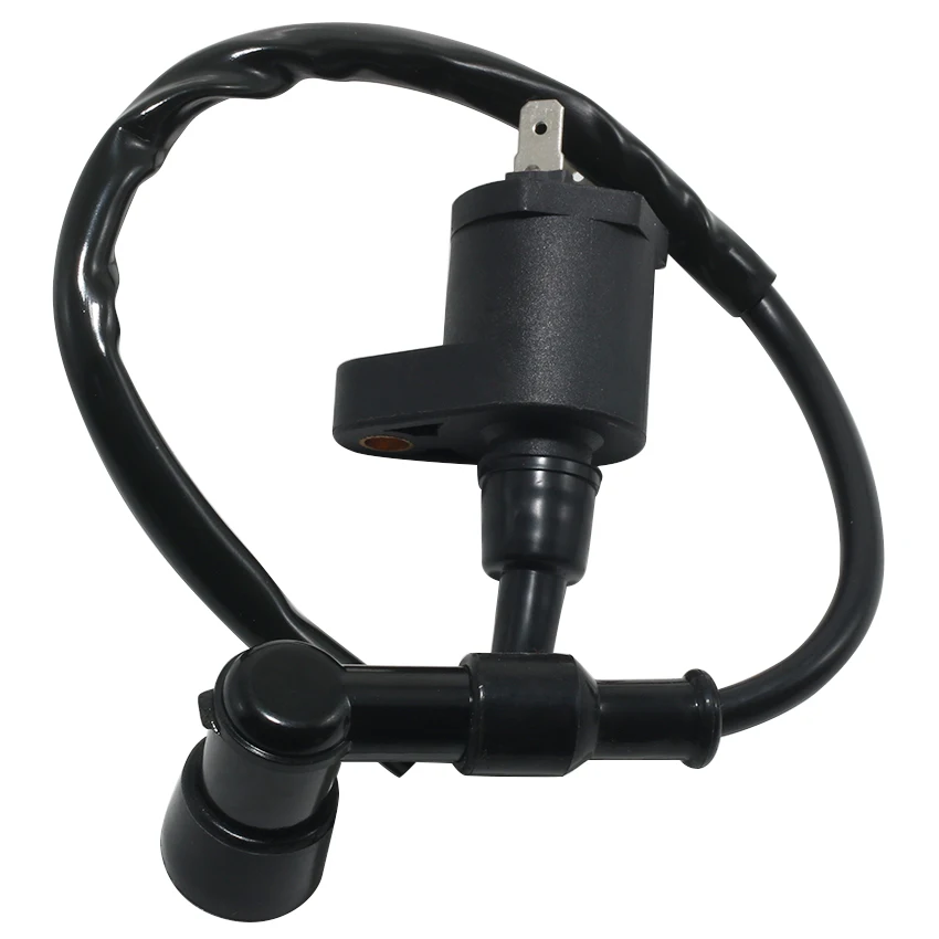 Motorcycle Engine Stator Generator Ignition Coil For Kymco Agility 50 like 125 Super 8 Filly Agility People S 50 3051A-KHC4-900 view 4