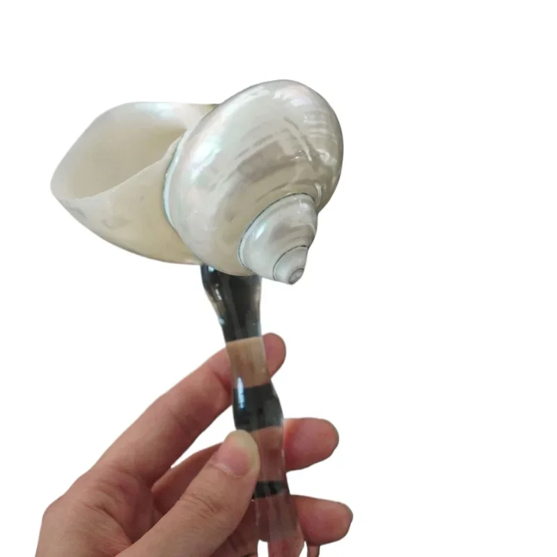 

Design creative conch shell wine glass wedding birthday gift