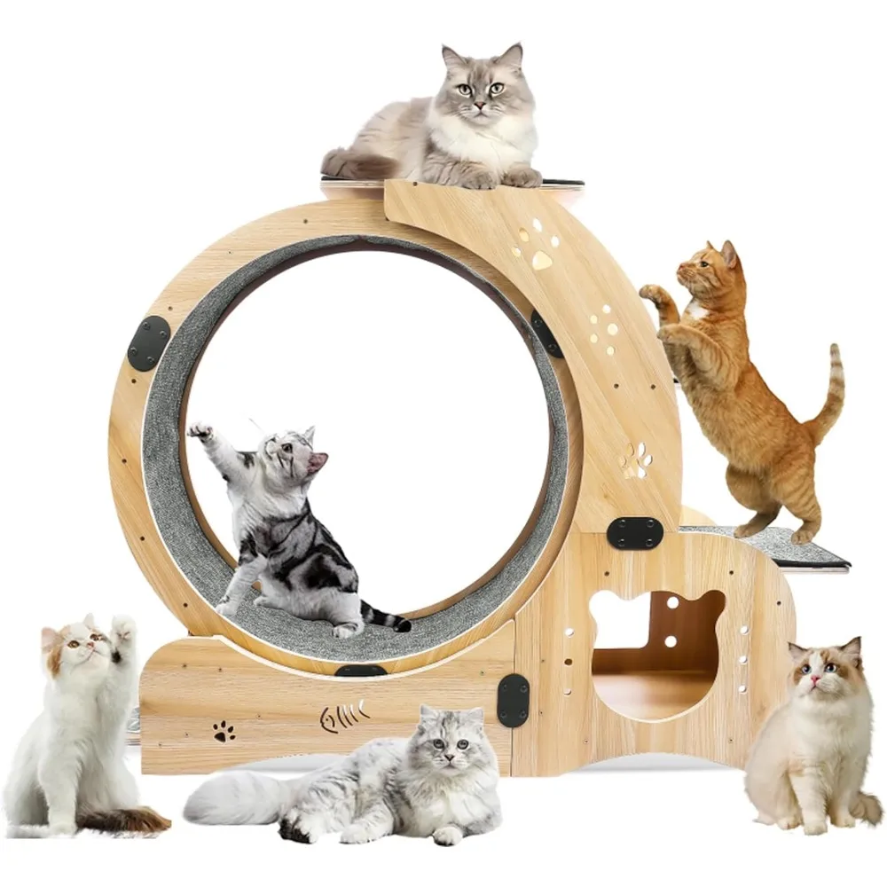 

Cat Wheel 6-in-1 Upgraded Exercise Wheel for Indoor Cats: Large Treadmill with Silent Running Wheel, Cat Toys