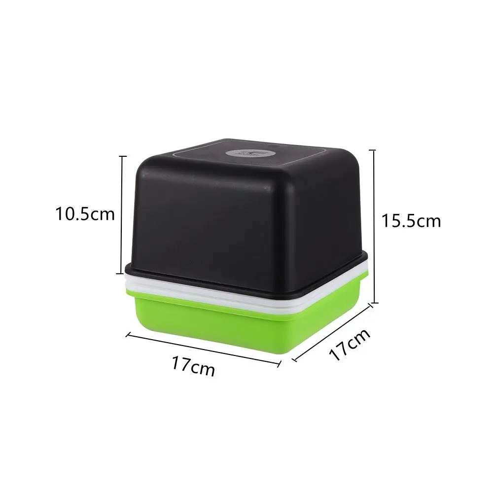 Garlic Soilless Water Cultivation Plant Hydroponic Sprout Planting Pot Sprout Planting Box Seedling Tray Garden Supplies - Image 5