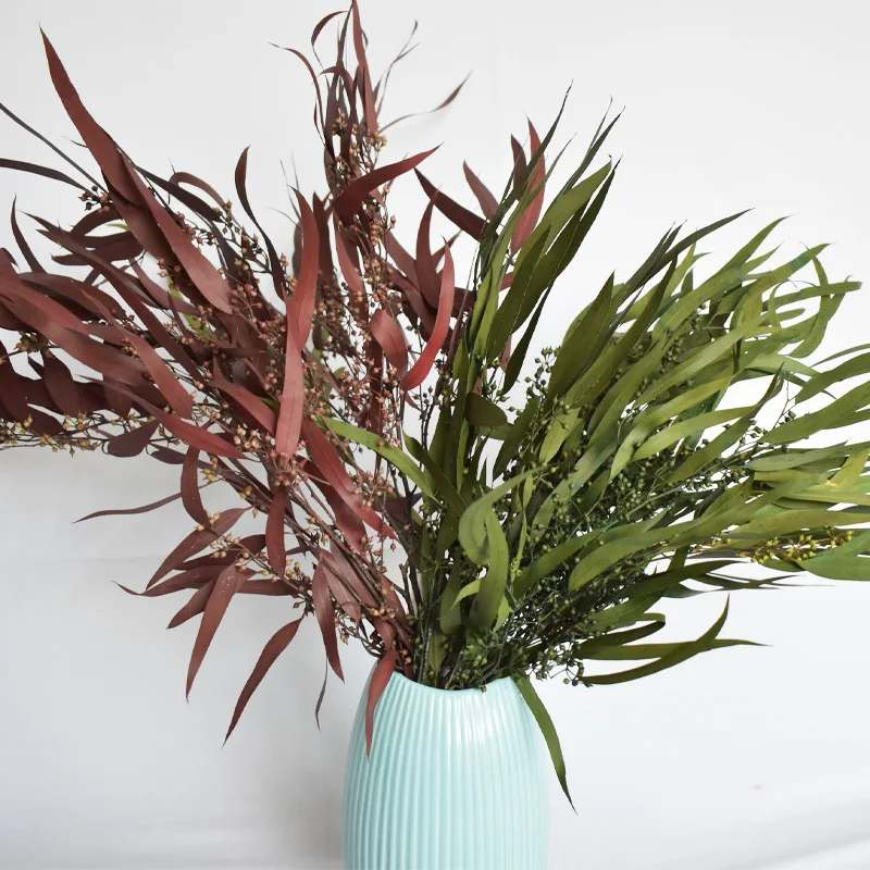 Preserved Natural Eucalyptus Bouquet of Leaves Fresh Eucalyptus Dried Flowers Eternelle Eucalyptus Preserved Branches Home Decor