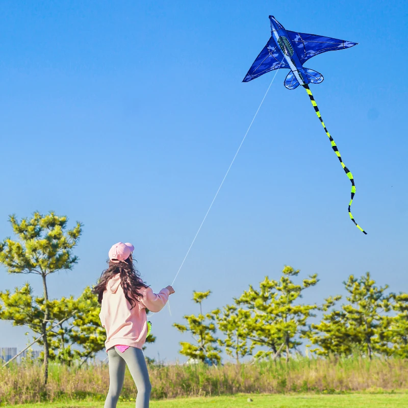 YongJian Plane Kites With Handle And Line For Kids Good Flying kites for kids ages 8-12 Outdoor Fun Sports kites