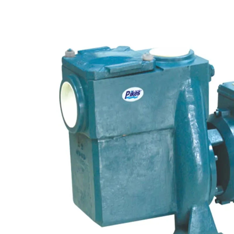 2024 PIKES Pompa Air Bahan Hebat Kolam Renang Seri RTS Filter Pompa Kolam Laju Aliran Tinggi