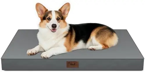 

Tail Stories Orthopedic Dog Bed 36"x27" - Waterproof, Washable Cooling Cover - Large Pet Foam Mattress