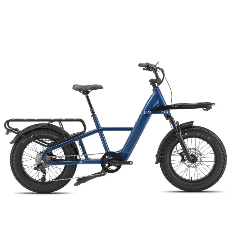 Custom All Terrain Cargo Ebike 48v 15ah 750w Rear Hub Motor Lithium Battery Brushless Aluminum Alloy Electric Cargo Bike
