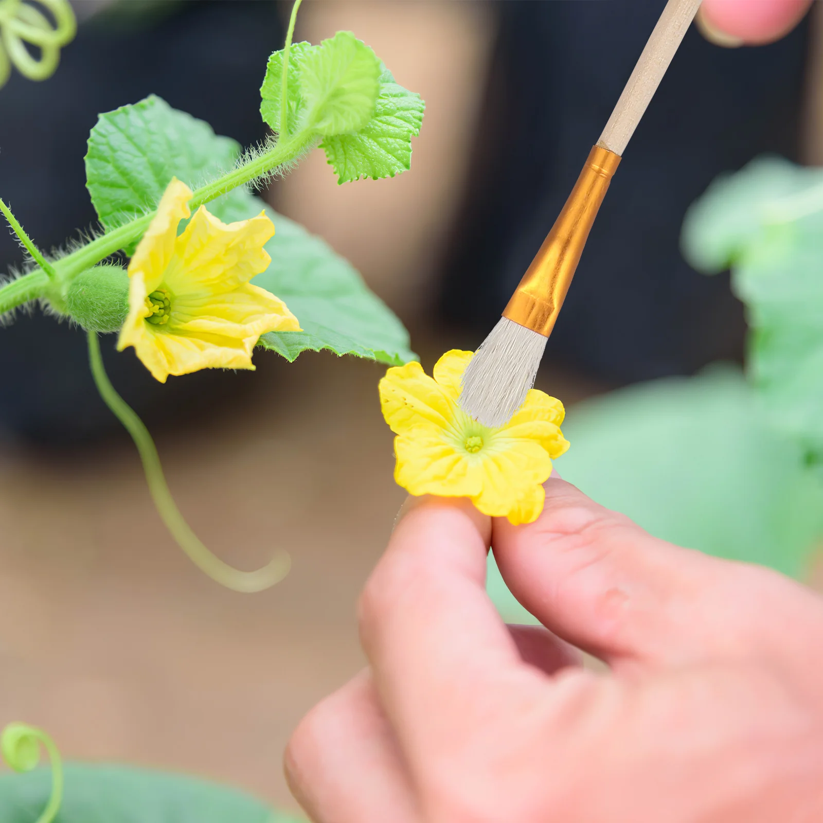 

Efficient Manual Pollinator 8pcs for Peach Pear Tree Flower Pollination Vegetable Garden Planting Yard Self Pollinating Tool Set