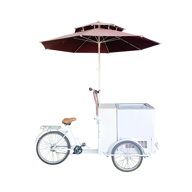 Ice Cream Gelato Display Cart Europe Design Refrigerated Showcase Cold Drinks Push Cart with Freezer Vendor Bike USA Approved