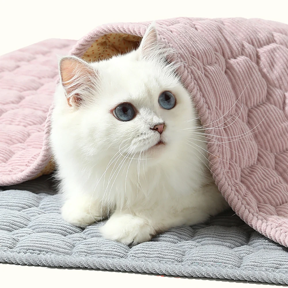 Warm Corduroy Dog Bed, Fluffy Plush Reversible Pet Mat for Winter, Foldable Travel Crate Pad for Cats and Dogs, Soft Fleece