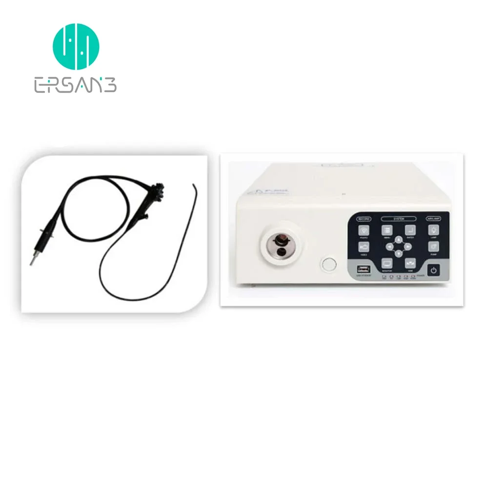 Veterinary Flexible Video Endoscope Machine Veterinary  Gastroscopy Colonoscopy Price Of Colonoscopy Machine