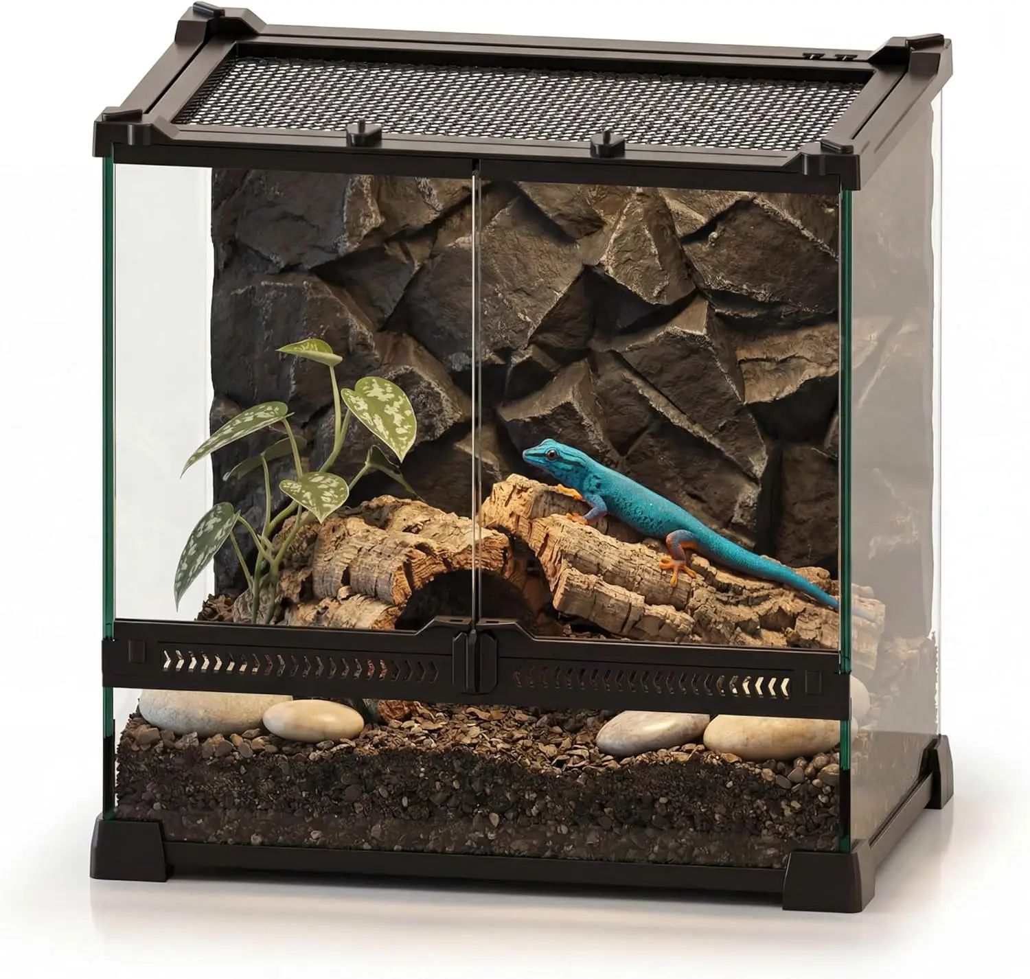 

5 Gallon Front-Opening Glass Terrarium with Mesh Top for Reptiles and Spiders