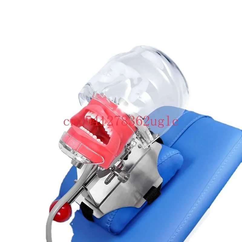 Model Oral Teaching Head Skill Examination Detachable Tooth Preparation Simulation Hair Practice Aids