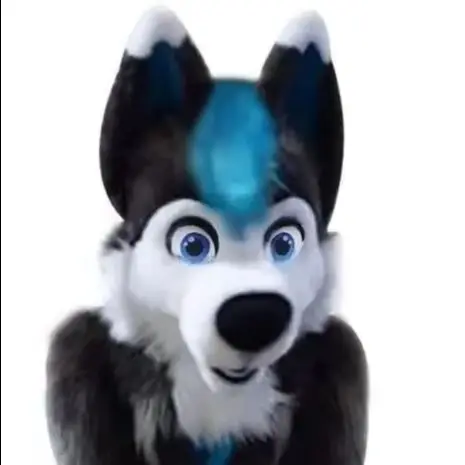 

Grey Husky Fursuit Fox Dog Mascot Costumes Wolf Long Fur Suits Halloween Holiday Christmas Fancy Party furry Outfits