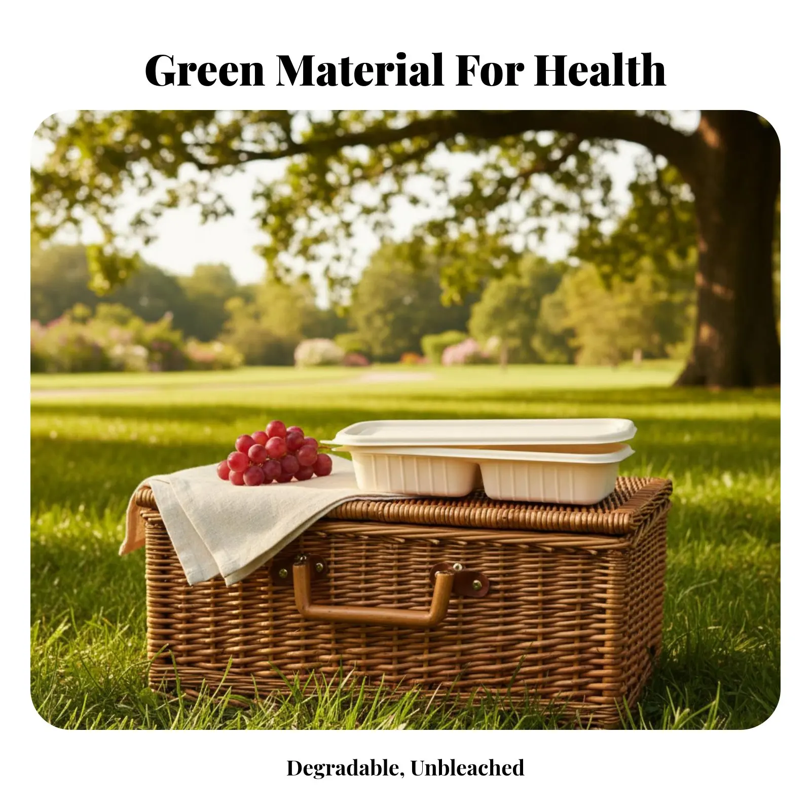 

Lunch Box, Rectangular Compartment Corn Food Container With Lid, Biodegradable For Takeaway