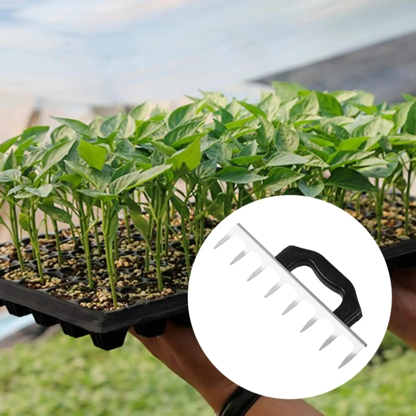 Soil Digger for Planting Seeds Ergonomic Handle High Efficiency Seeds Spacer Puncher Practical Garden Supplies Hand Dibber