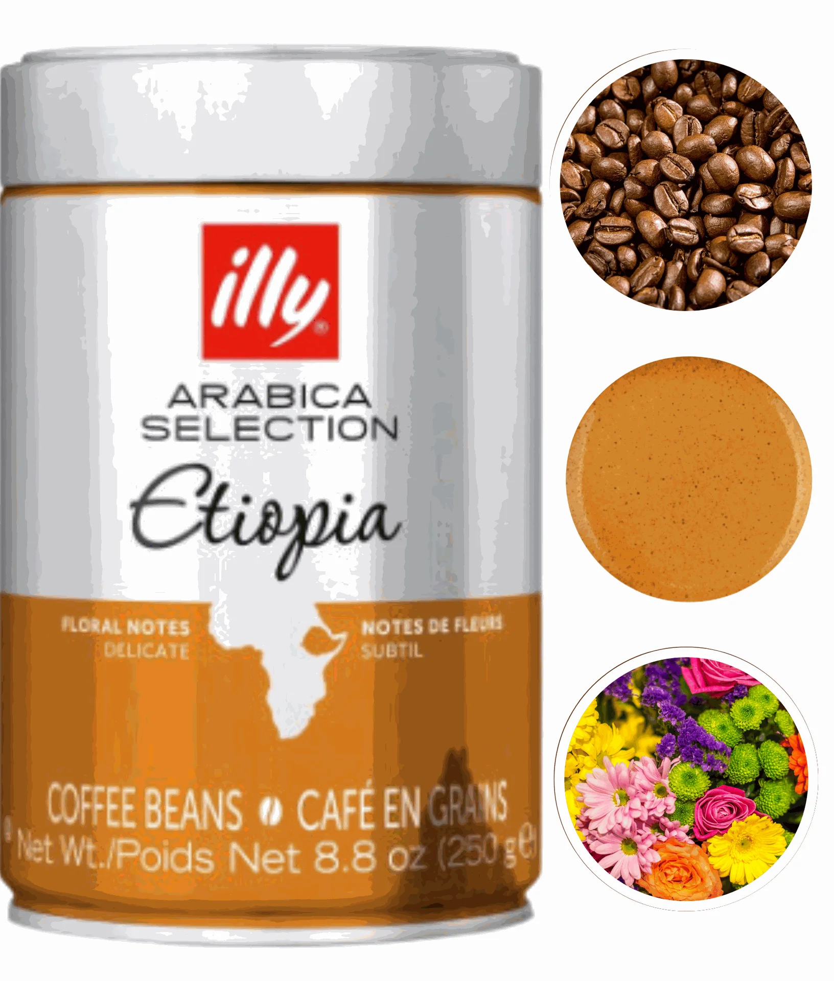 إيلي إيثوبيا أرابيكا سيليكشن حبوب البن 250 جرام #2