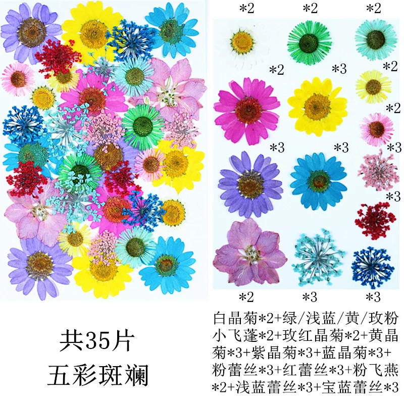 

Real Flower Pressed Leaves, Colorful Mixed Dried Flower Set, Leaf Mix for Journaling, Bookmarks, DIY Handmade Material Kit, Photo Frame Specimen, Candles