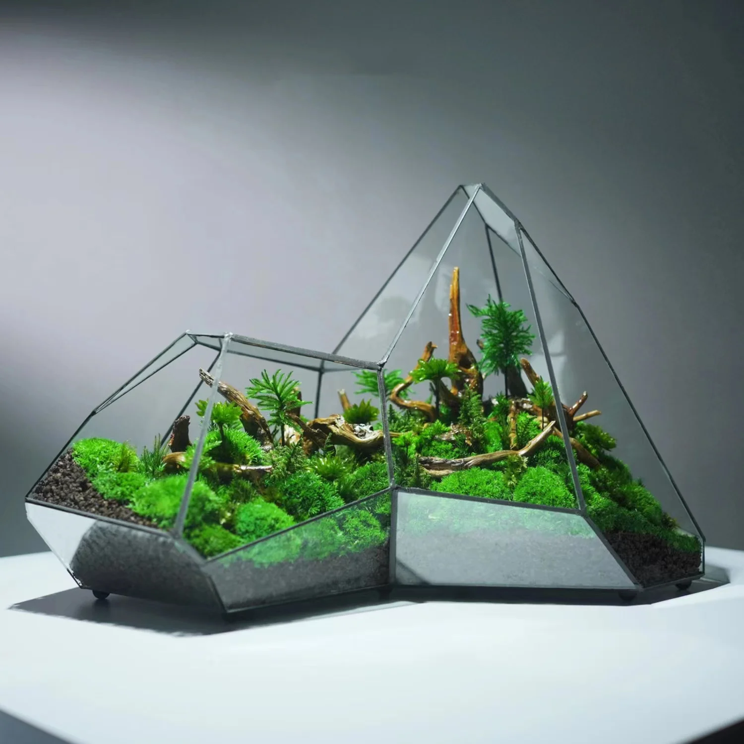 

Micro Landscape Planter Moss Rainforest Tank Geometric Glass Flower Room Irregular Ecological Vase Succulent Water Plant Vase