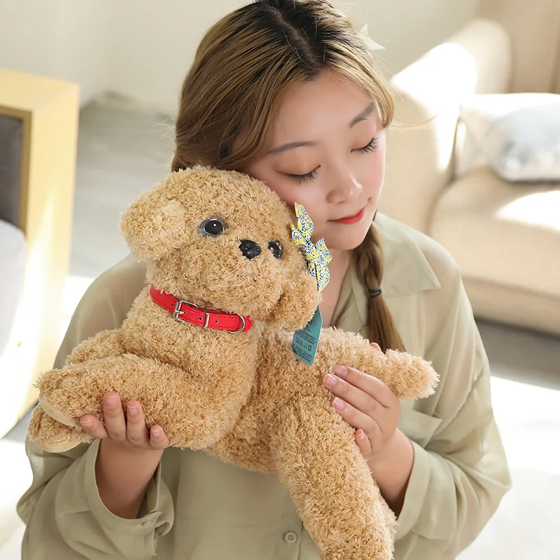 Chien Teddy portant des vêtements pour Noël, jouets en peluche mignons, simulation de beurre animal IWed, cadeau d'anniversaire, vraie vie, 35 cm, 55cm